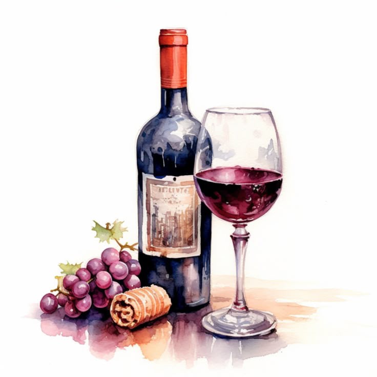 Premium Wine & Drinks – Selection for Every Occasion