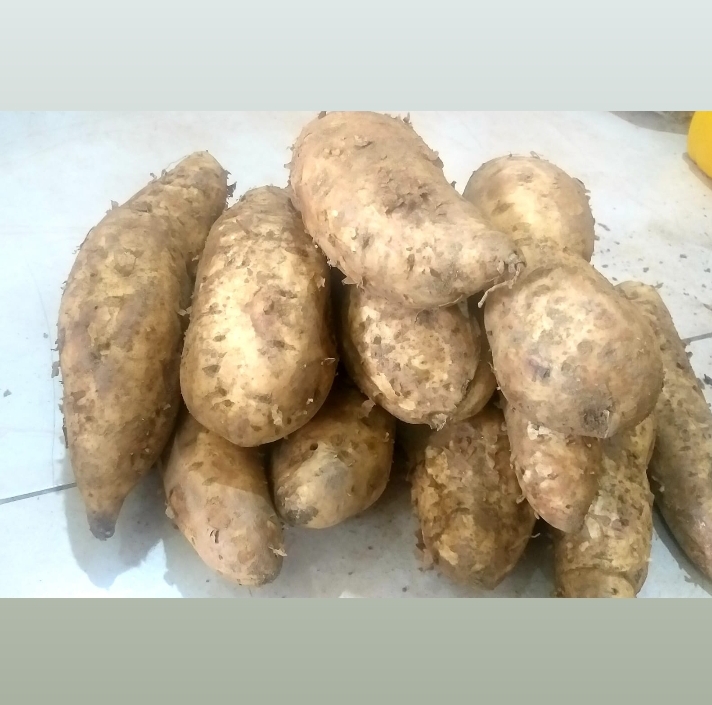Yam