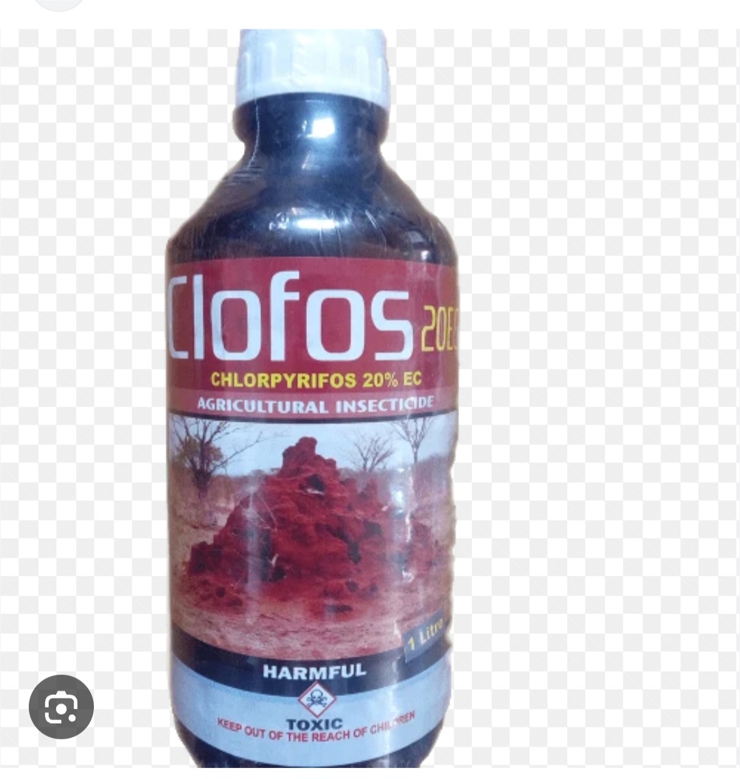 Clofos Insecticide - Chlorpyrifos 20% EC